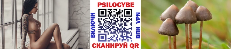 Галлюциногенные грибы мицелий  MEGA ТОР  Закаменск 